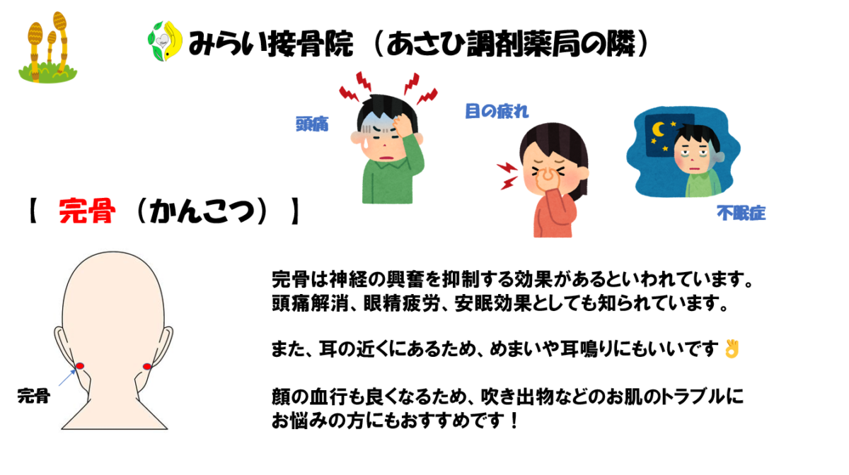 接骨院より ツボの紹介「完骨」 - みなとや薬局